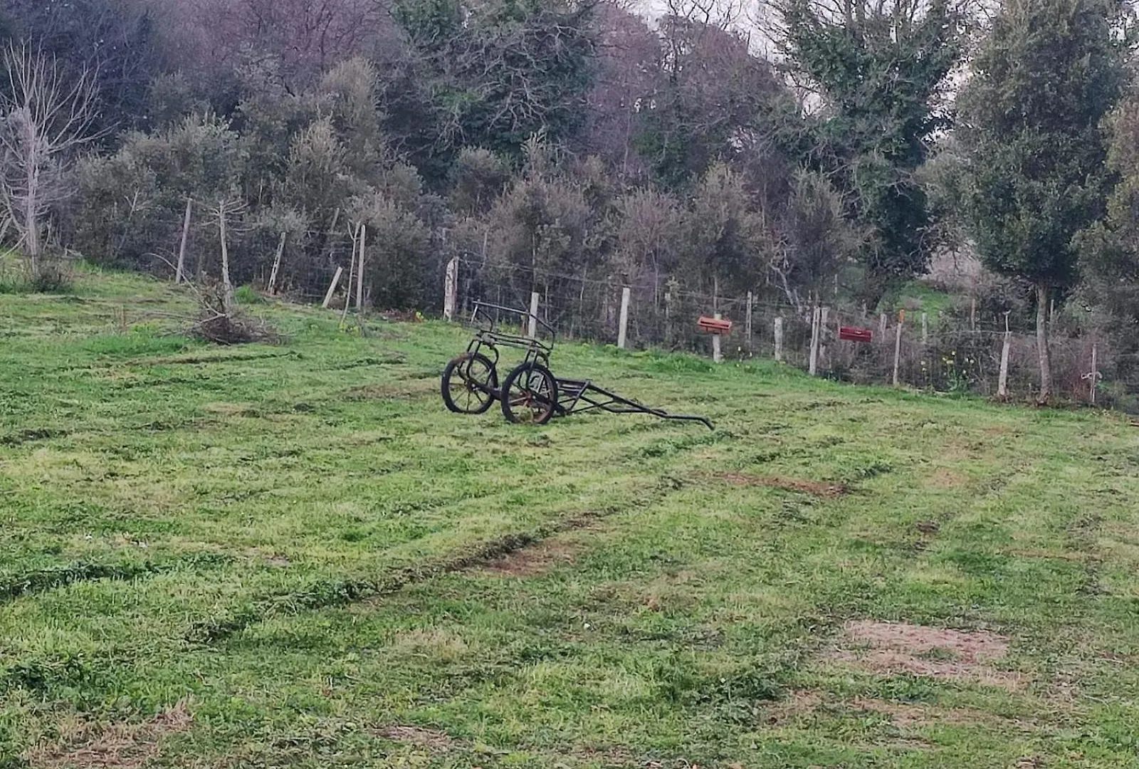 Affittacamere Paradiso, Turismo Rurale Tempio Pausania